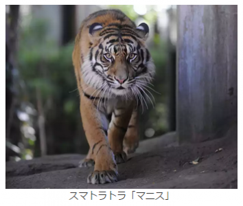 上野動物園